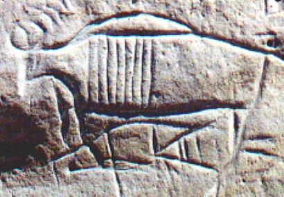 wy_yosemite_bpbuffo_petroglyph.jpg